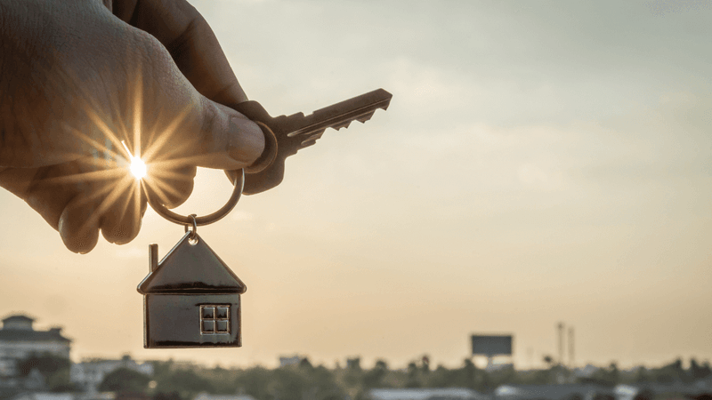 Finding rental accommodation in New Zealand - Migrants searching for rental properties and signing tenancy agreements