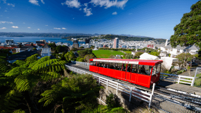 First 6 Months in New Zealand