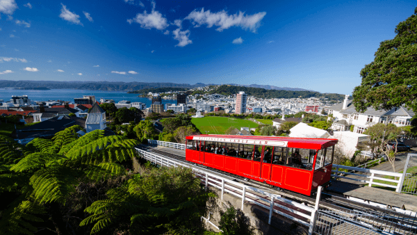 First 6 Months in New Zealand - New migrants settling into their new home in NZ