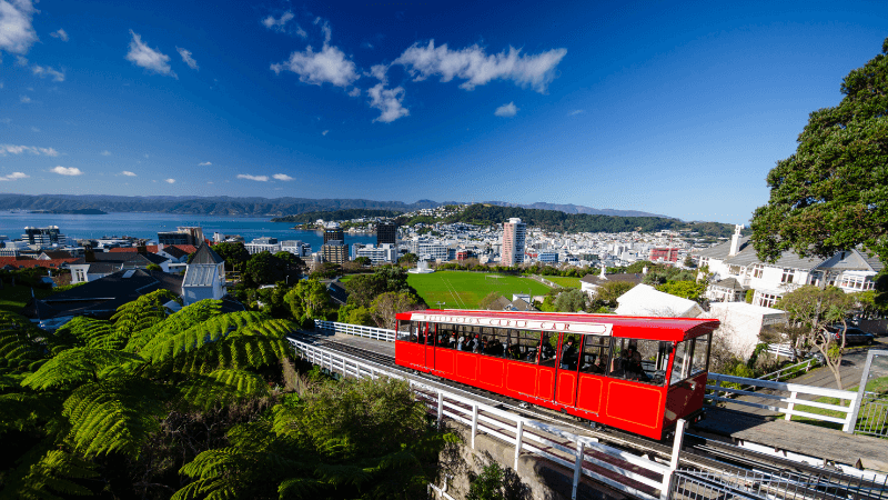 New migrants settling into their first months in New Zealand - family unpacking boxes in a sunny NZ home