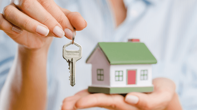 Renting vs Buying Property in New Zealand - Migrant family deciding on housing options in NZ