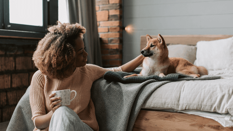 Happy family with dog and cat in front of pet-friendly rental home in New Zealand