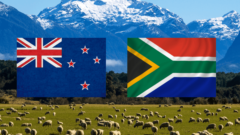 South African community in New Zealand - People gathering for a braai with New Zealand scenery in the background