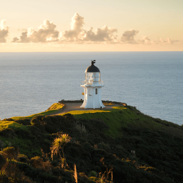 The Migrate Hub New Zealand Immigration Planning App Interface Dashboard Screenshot