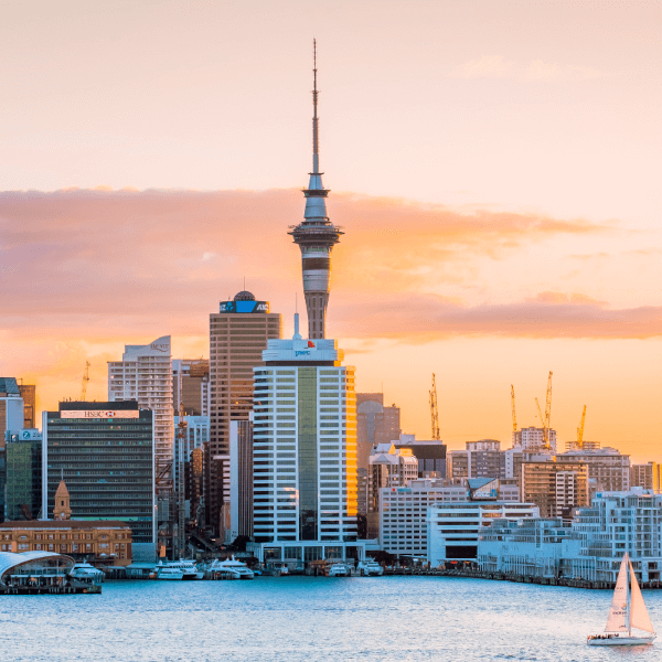 New Zealand Service Providers Network - Connecting Migrants with Trusted Local Businesses